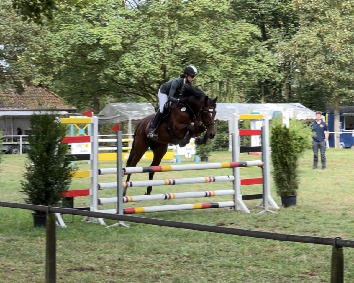 broodmare Extasy 18 (German Sport Horse, 2015, from Viscount 22)