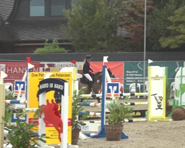 Reitturnier Behrendorf 2024