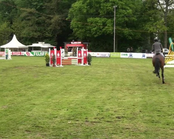 Pfingst-Dressur- und Springturnier 2013 des ZRFV Borken