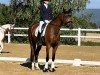 dressage horse Seppl 80 (Rhinelander, 2019, from Secret)