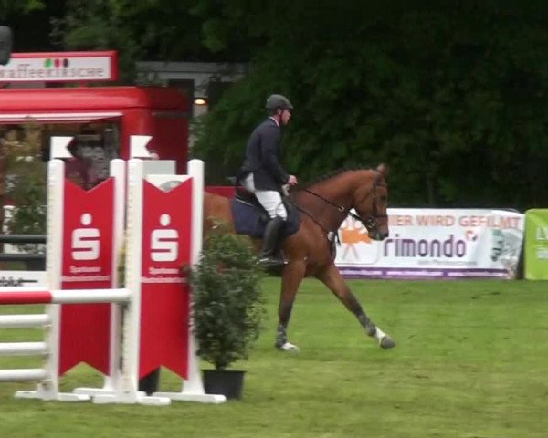 Pfingst-Dressur- und Springturnier 2013 des ZRFV Borken