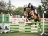 jumper Carlsson 107 (Oldenburg show jumper, 2020, from Chubakko)