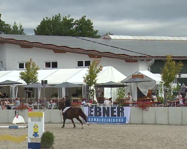Reitturnier Grafenrheinfeld/Ufr. 2024