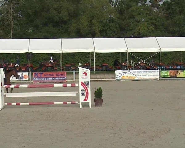 Reitturnier Grafenrheinfeld/Ufr. 2024