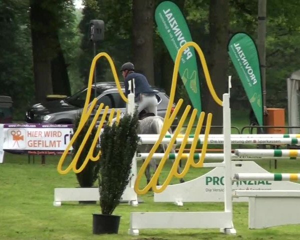Pfingst-Dressur- und Springturnier 2013 des ZRFV Borken