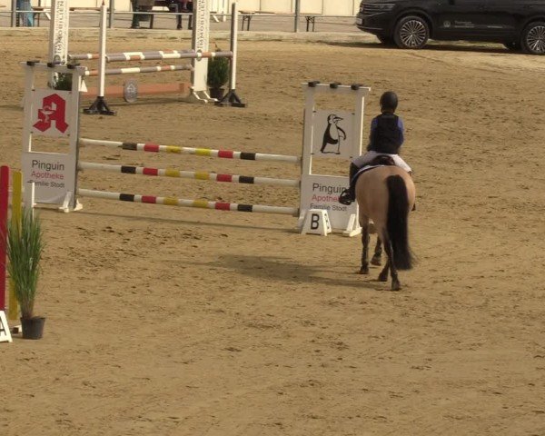 Reitturnier Castrop-Rauxel/Ober-Castrop 2024