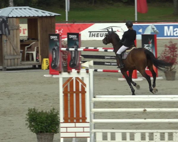 Reitturnier Westergellersen 2021