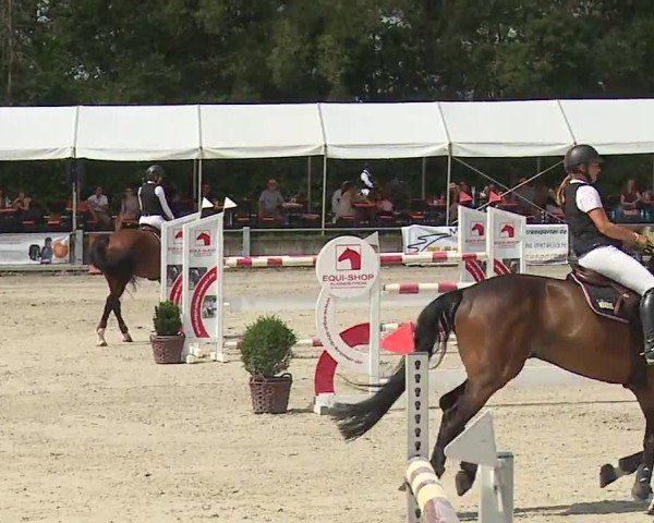 Reitturnier Grafenrheinfeld/Ufr. 2024