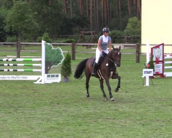 Reitturnier Niemegk / Neuendorf 2024