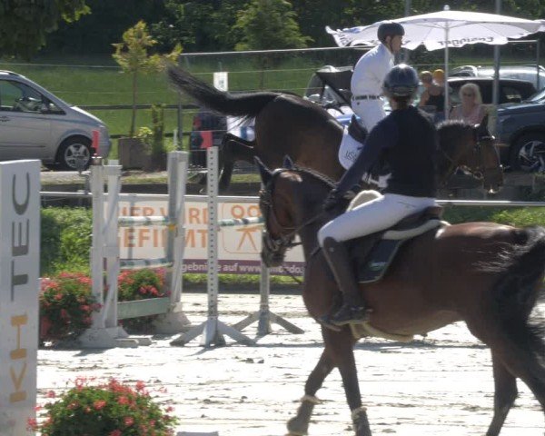 Reitturnier Oberderdingen 2024