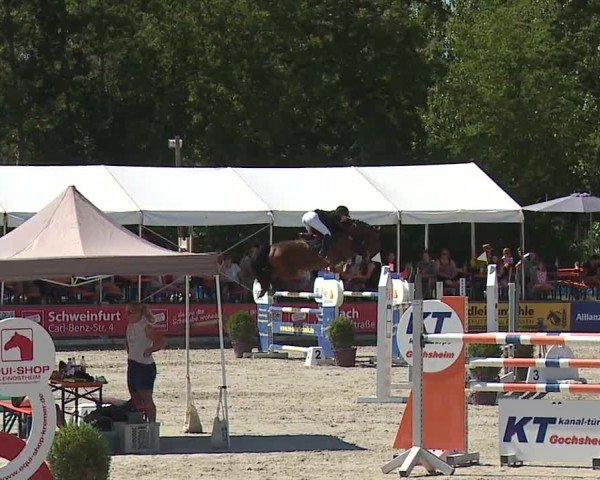 Reitturnier Grafenrheinfeld/Ufr. 2024