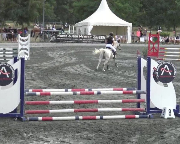 Reitturnier Horitschon 2024