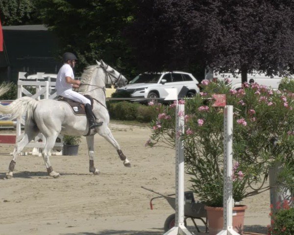 Reitturnier Oberderdingen 2024