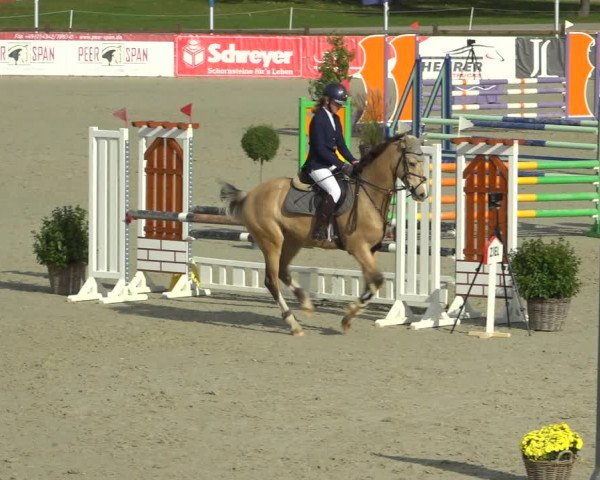 Reitturnier Westergellersen 2021