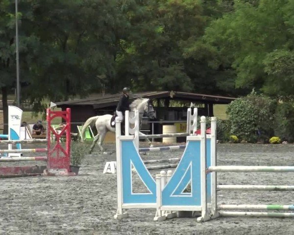 Reitturnier Horitschon 2024