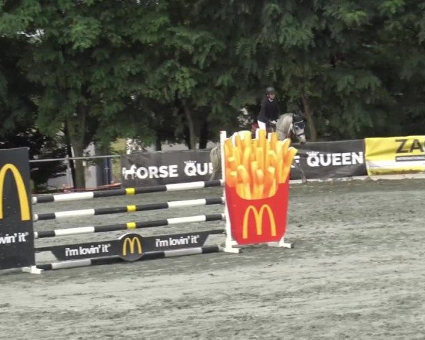 Reitturnier Horitschon 2024