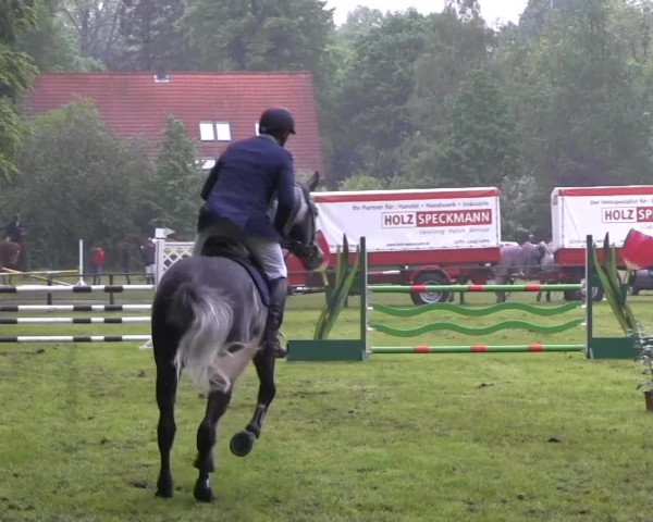 Halle-Tatenhausen Schloßturnier 2013