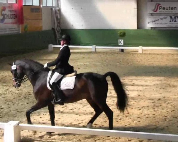 Pfingst-Dressur- und Springturnier 2013 des ZRFV Borken