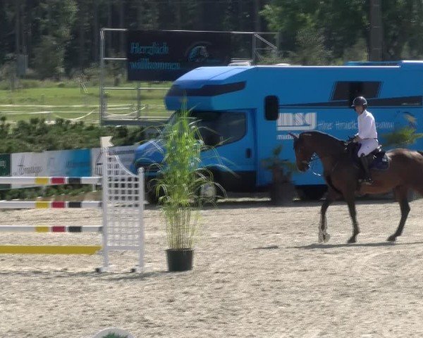 Reitturnier Sauldorf-Boll 2024