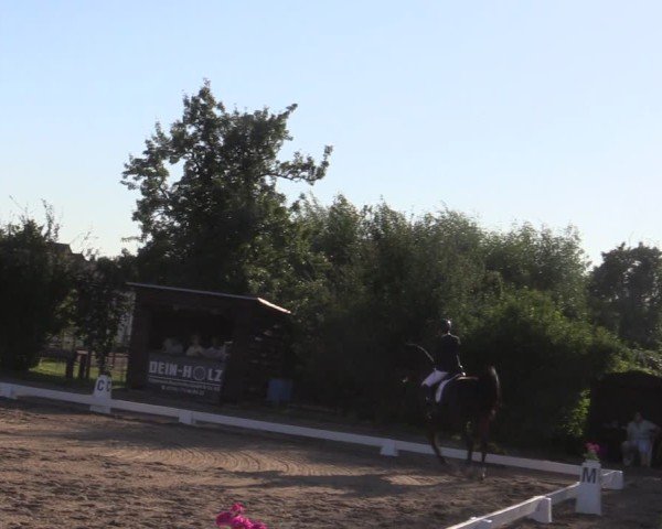 Reitturnier Halle - Seeben 2024