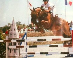 jumper Geronimo van Berkenbroeck (Belgian Warmblood, 2006, from Takashi van Berkenbroeck)