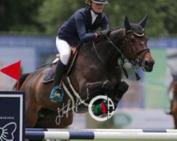 jumper Eblesse van het Scheefkasteel (Belgian Warmblood, 2004, from Nonstop)