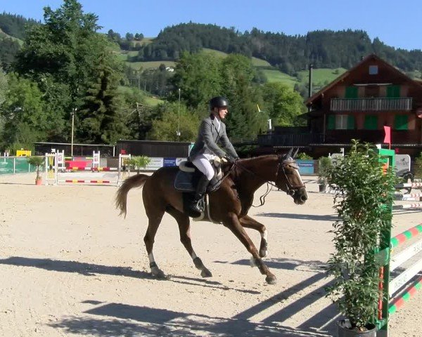 Reitturnier Schüpfheim 2024