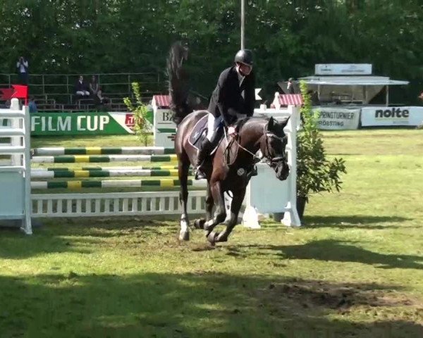 Pfingst-Dressur- und Springturnier 2013 des ZRFV Borken