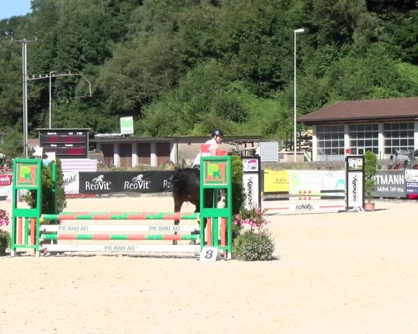 Reitturnier Schüpfheim 2024