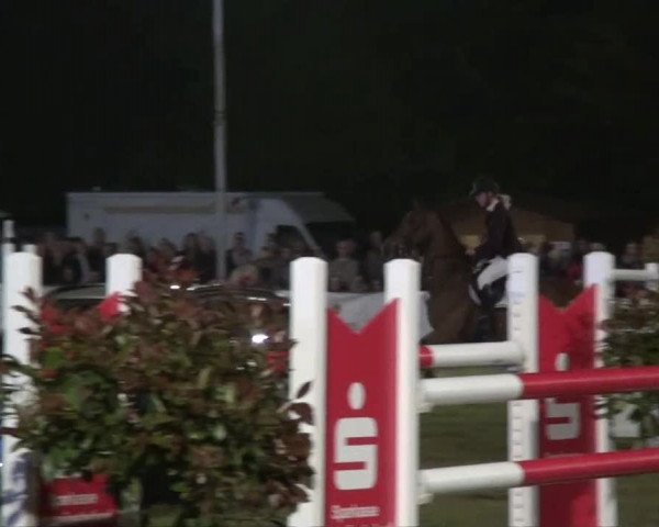 Pfingst-Dressur- und Springturnier 2013 des ZRFV Borken