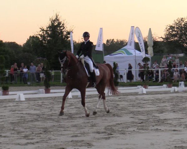 Reitturnier Bergisch Gladbach - Hebborner Hof 2024