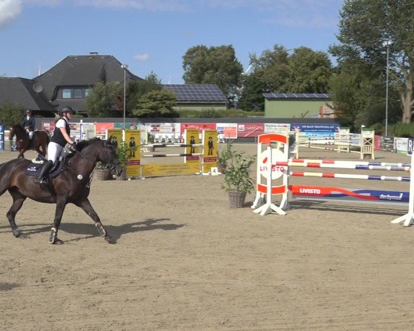 Reitturnier Behrendorf 2024
