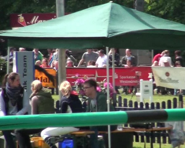 Pfingst-Dressur- und Springturnier 2013 des ZRFV Borken