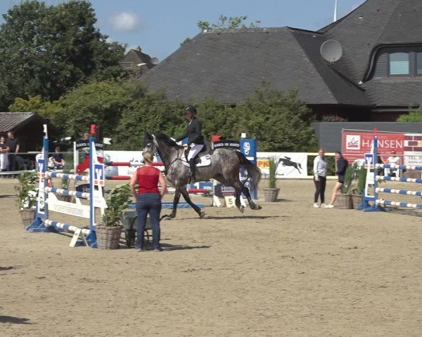 Reitturnier Behrendorf 2024