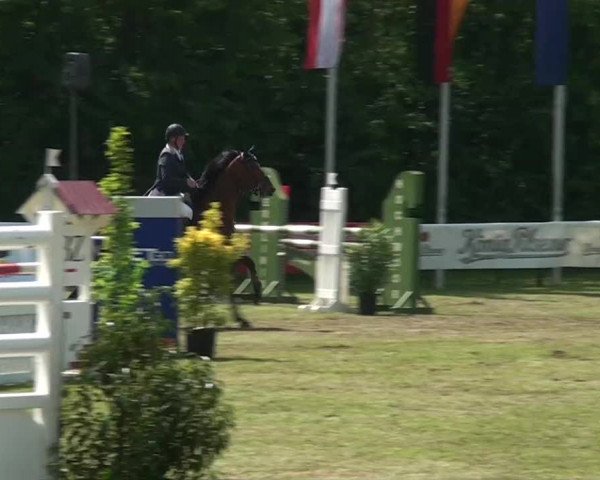 Pfingst-Dressur- und Springturnier 2013 des ZRFV Borken