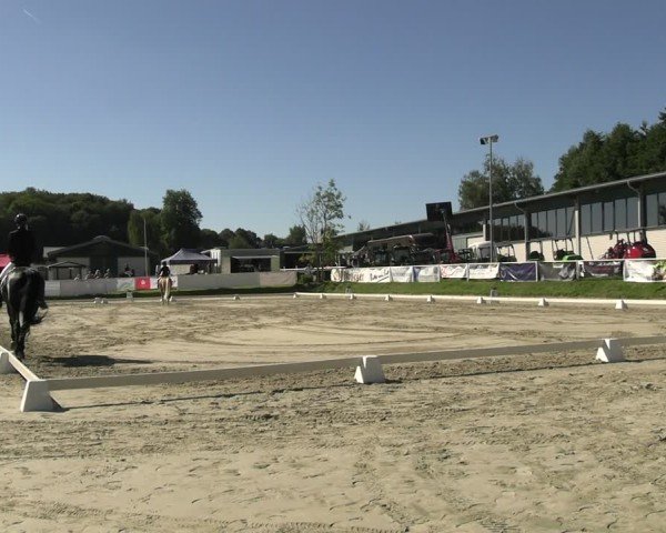 Reitturnier Bergisch Gladbach - Hebborner Hof 2024