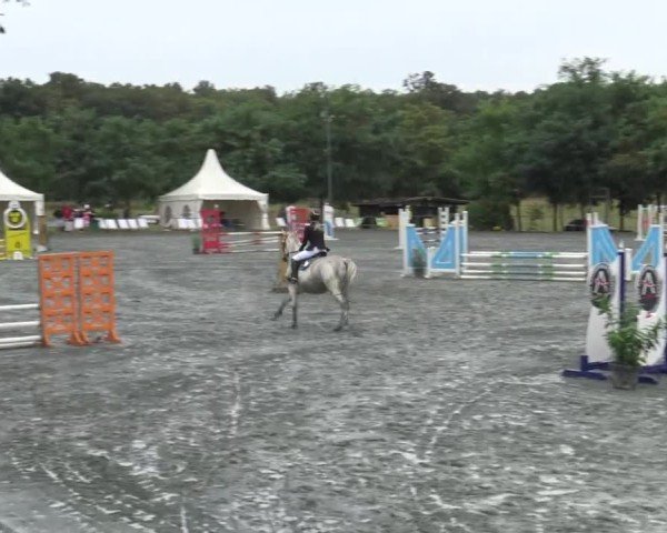 Reitturnier Horitschon 2024