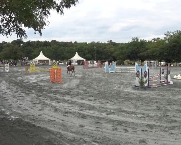 Reitturnier Horitschon 2024