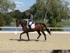 dressage horse Secret's Ferrari PS (Oldenburg, 2018)