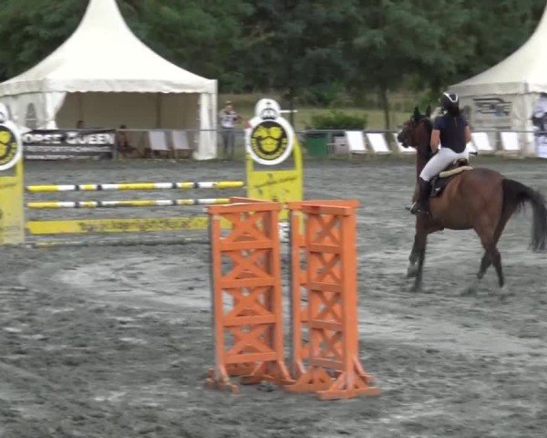Reitturnier Horitschon 2024