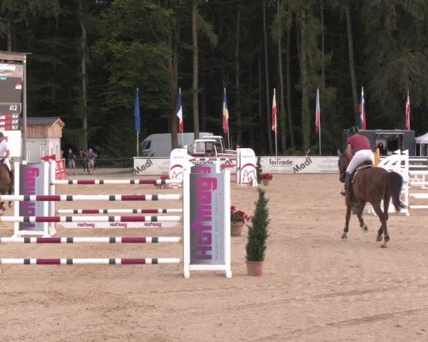 Reitturnier Ranshofen - Braunau am Inn 2024