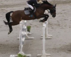 jumper Rickhofs Nutella (German Riding Pony, 2014, from Fs Numero Uno)