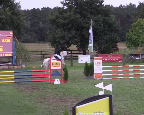 Reitturnier Niemegk / Neuendorf 2024