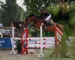 jumper Talana Blue PS (Oldenburg show jumper, 2018, from Talan)