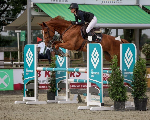 jumper Chadiama Royale PS (Oldenburg show jumper, 2018, from Chacfly PS)