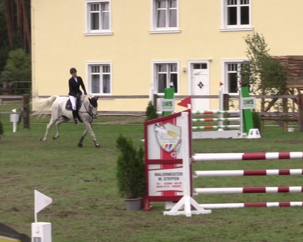 Reitturnier Niemegk / Neuendorf 2024