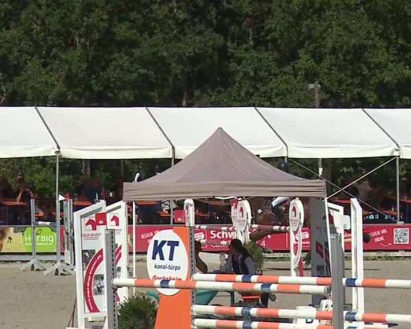 Reitturnier Grafenrheinfeld/Ufr. 2024