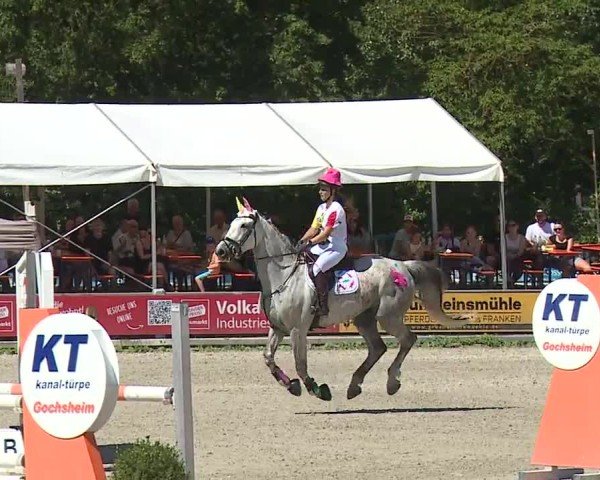 Reitturnier Grafenrheinfeld/Ufr. 2024