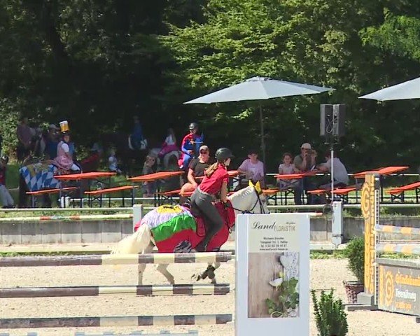 Reitturnier Grafenrheinfeld/Ufr. 2024