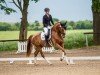 dressage horse Soleil de La Fleur (German Sport Horse, 2019, from San Francisco OLD)